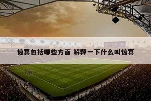 惊喜包括哪些方面 解释一下什么叫惊喜