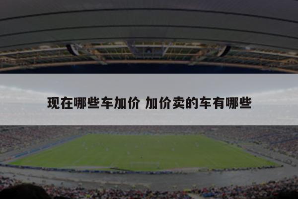 现在哪些车加价 加价卖的车有哪些