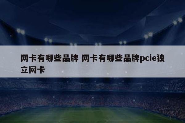 网卡有哪些品牌 网卡有哪些品牌pcie独立网卡