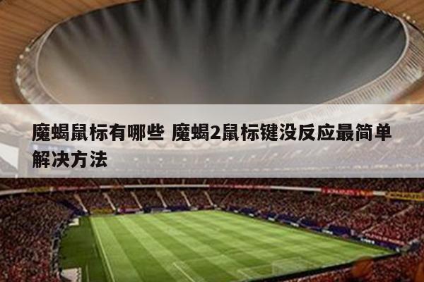 魔蝎鼠标有哪些 魔蝎2鼠标键没反应最简单解决方法