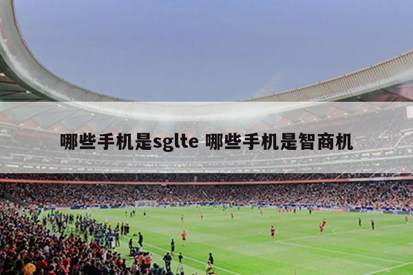 哪些手机是sglte 哪些手机是智商机