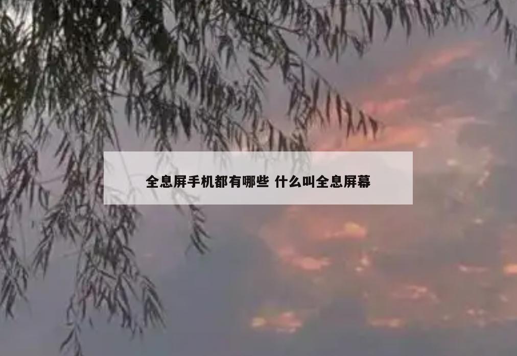 全息屏手机都有哪些 什么叫全息屏幕