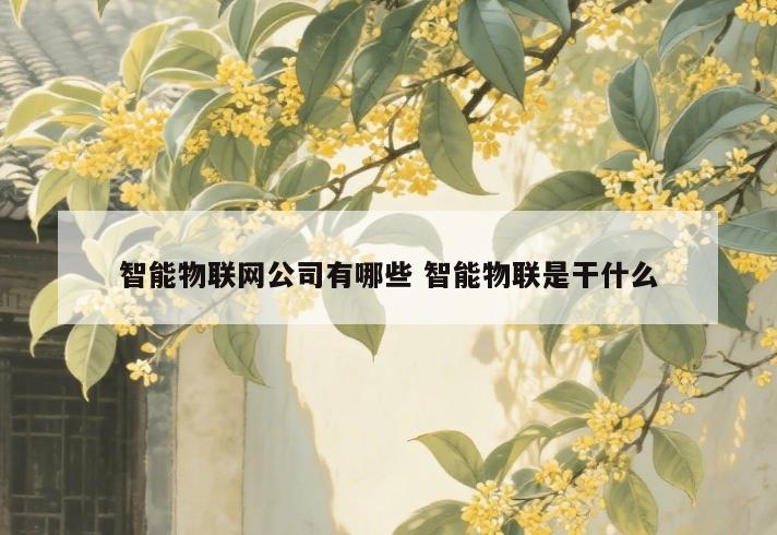 智能物联网公司有哪些 智能物联是干什么