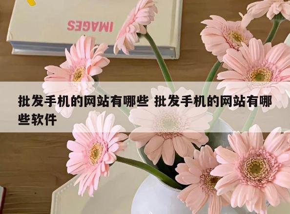 批发手机的网站有哪些 批发手机的网站有哪些软件