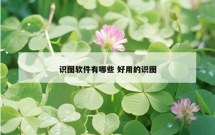 识图软件有哪些 好用的识图