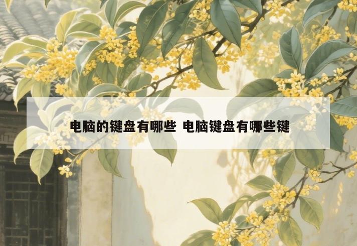 电脑的键盘有哪些 电脑键盘有哪些键