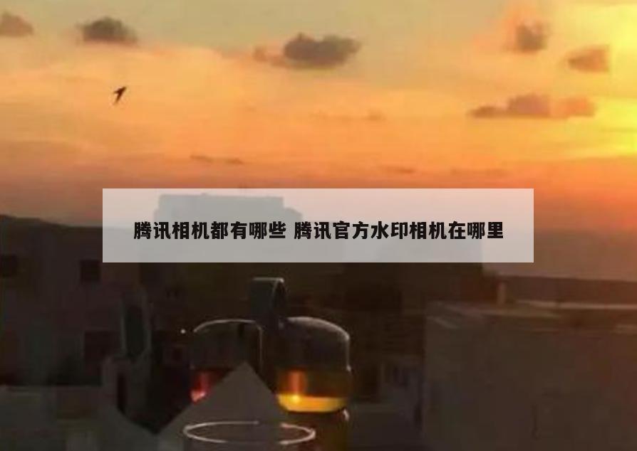腾讯相机都有哪些 腾讯官方水印相机在哪里