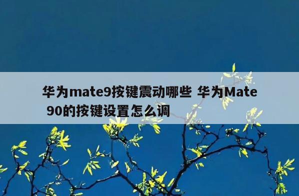 华为mate9按键震动哪些 华为Mate 90的按键设置怎么调