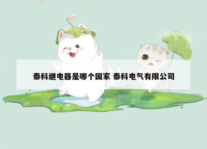 泰科继电器是哪个国家 泰科电气有限公司