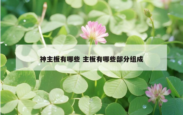 神主板有哪些 主板有哪些部分组成
