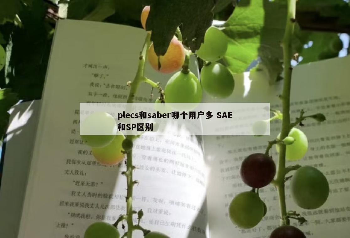 plecs和saber哪个用户多 SAE和SP区别