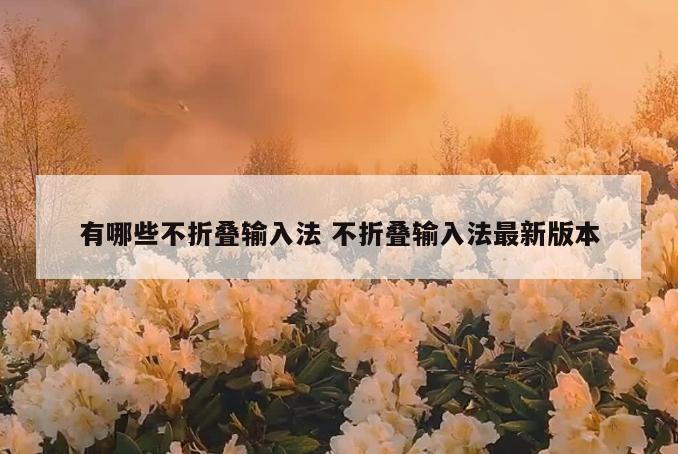 有哪些不折叠输入法 不折叠输入法最新版本