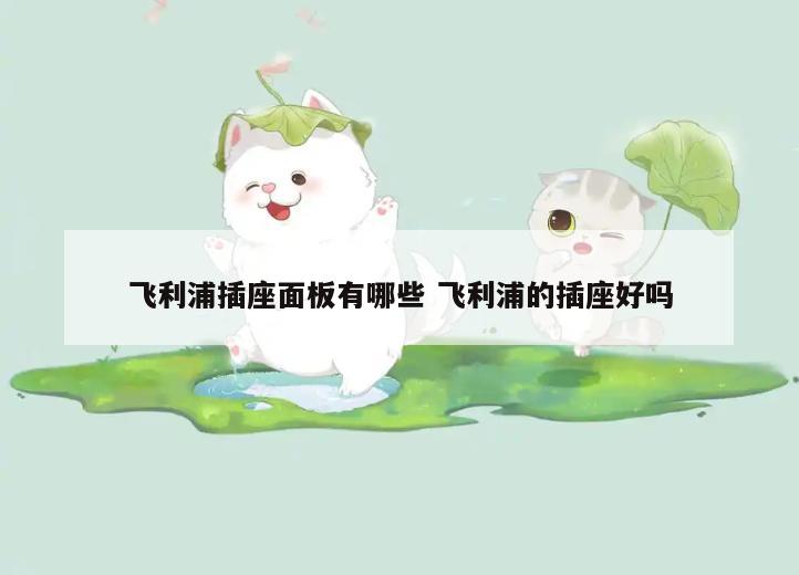 飞利浦插座面板有哪些 飞利浦的插座好吗
