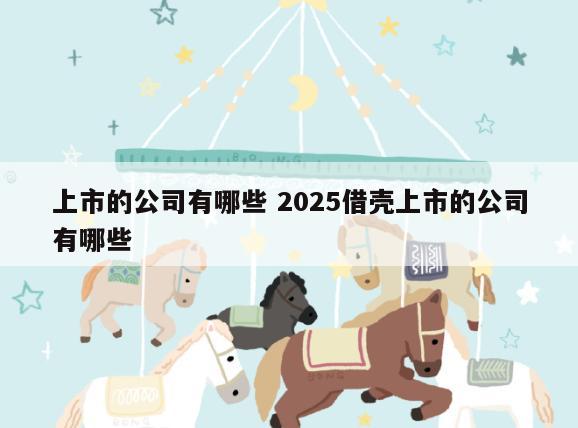上市的公司有哪些 2025借壳上市的公司有哪些