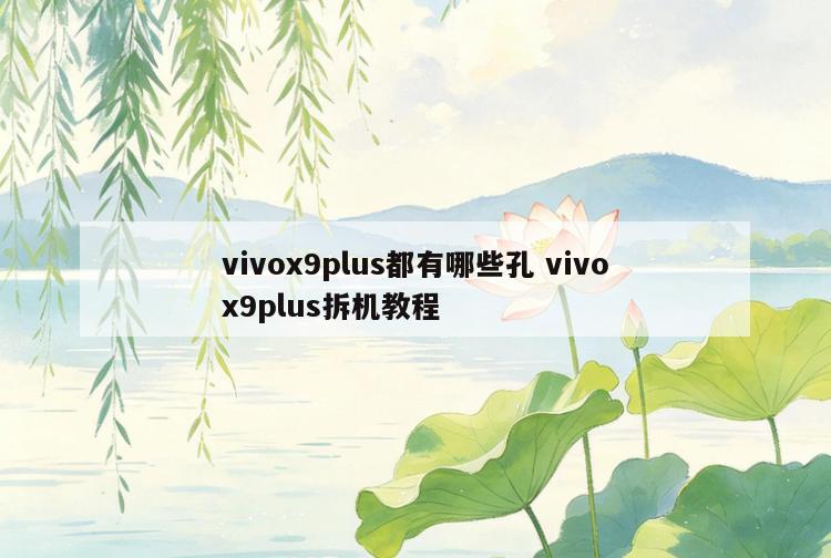 vivox9plus都有哪些孔 vivox9plus拆机教程