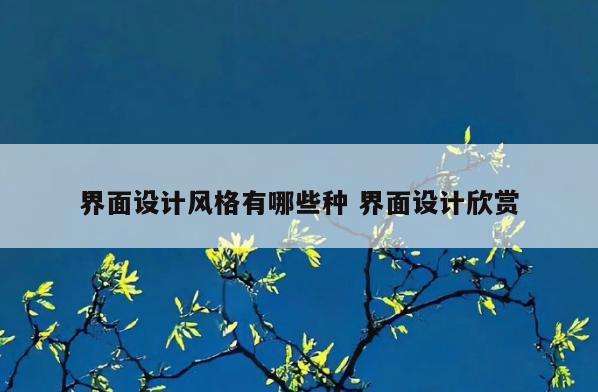 界面设计风格有哪些种 界面设计欣赏