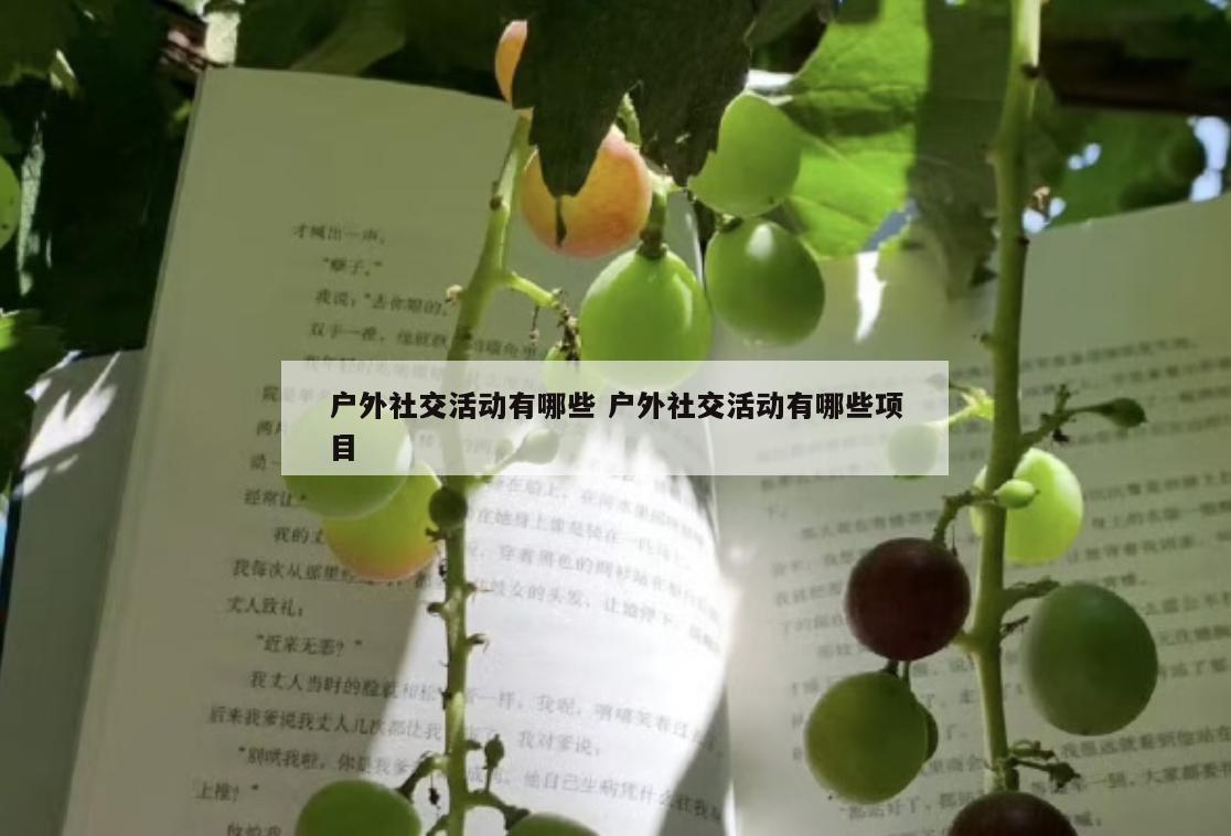 户外社交活动有哪些 户外社交活动有哪些项目