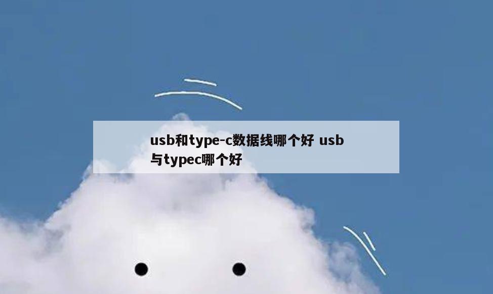 usb和type-c数据线哪个好 usb与typec哪个好