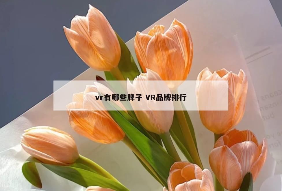 vr有哪些牌子 VR品牌排行