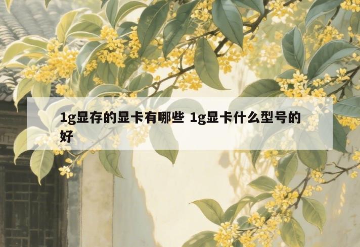 1g显存的显卡有哪些 1g显卡什么型号的好