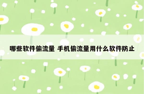 哪些软件偷流量 手机偷流量用什么软件防止
