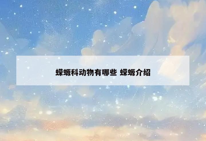 蝾螈科动物有哪些 蝾螈介绍