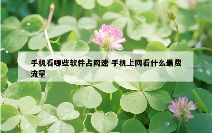 手机看哪些软件占网速 手机上网看什么最费流量