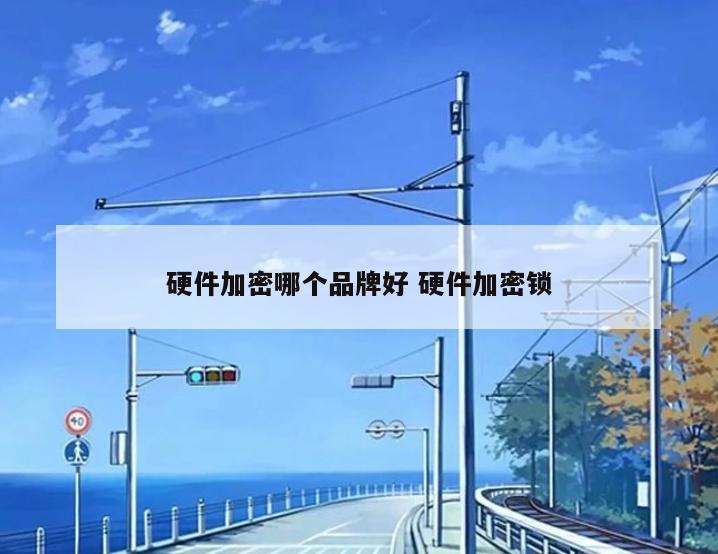 硬件加密哪个品牌好 硬件加密锁