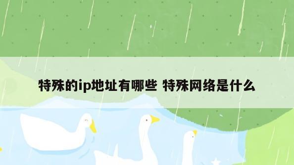 特殊的ip地址有哪些 特殊网络是什么