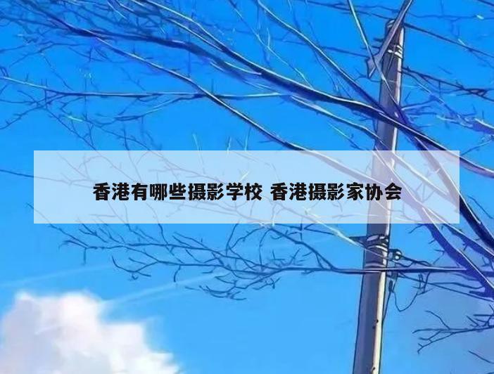 香港有哪些摄影学校 香港摄影家协会
