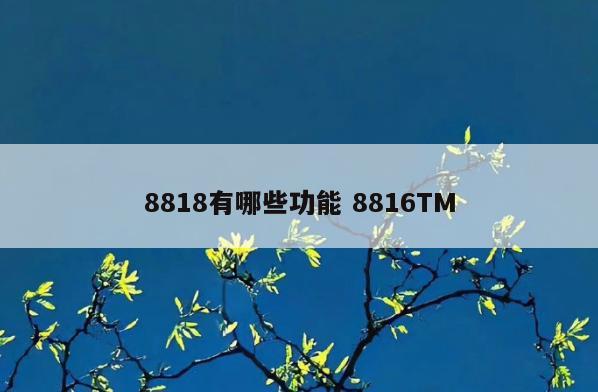 8818有哪些功能 8816TM