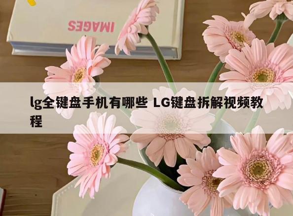 lg全键盘手机有哪些 LG键盘拆解视频教程