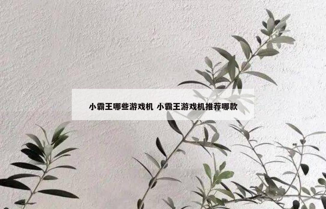 小霸王哪些游戏机 小霸王游戏机推荐哪款