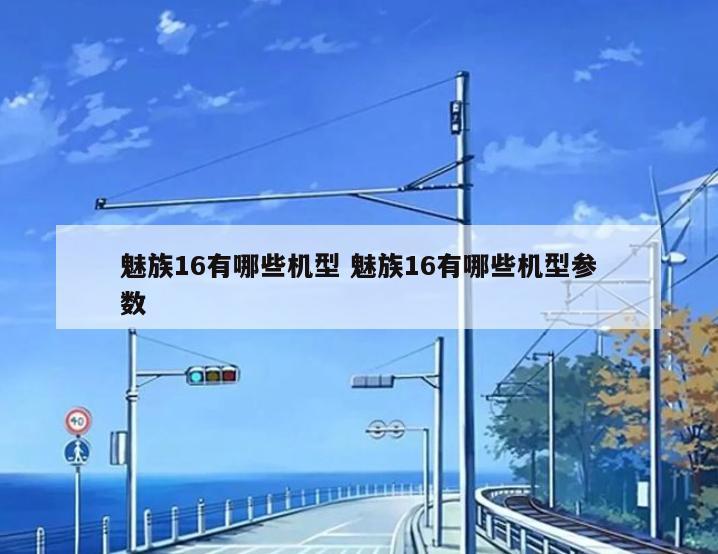 魅族16有哪些机型 魅族16有哪些机型参数