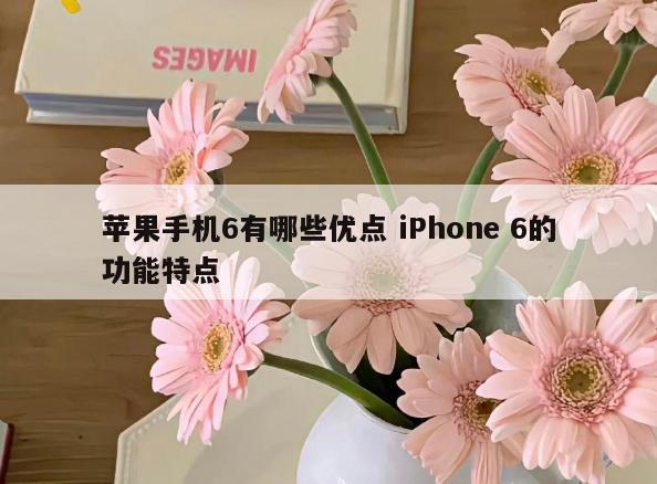 苹果手机6有哪些优点 iPhone 6的功能特点