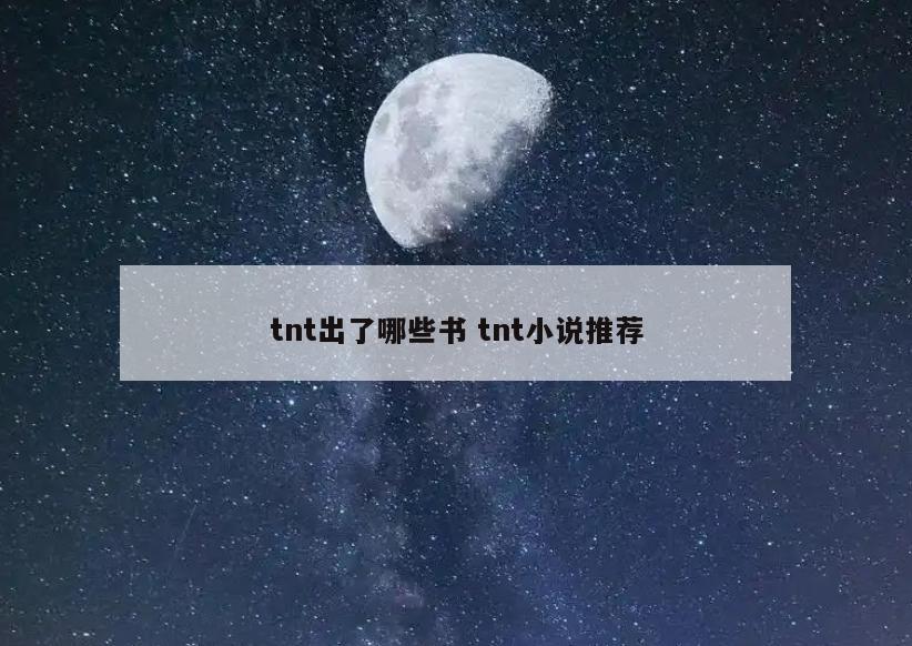 tnt出了哪些书 tnt小说推荐
