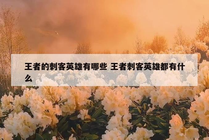 王者的刺客英雄有哪些 王者刺客英雄都有什么