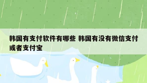 韩国有支付软件有哪些 韩国有没有微信支付或者支付宝