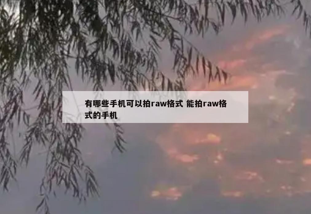 有哪些手机可以拍raw格式 能拍raw格式的手机