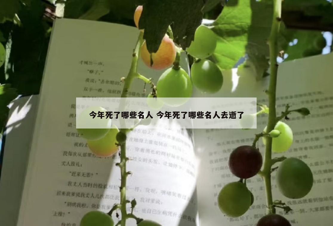 今年死了哪些名人 今年死了哪些名人去逝了