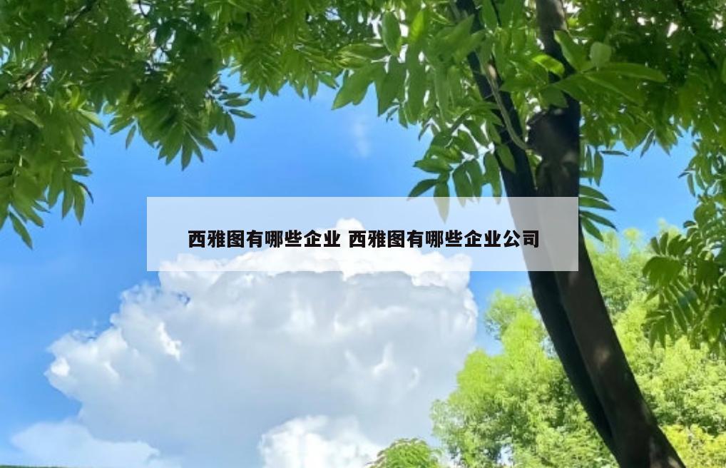西雅图有哪些企业 西雅图有哪些企业公司