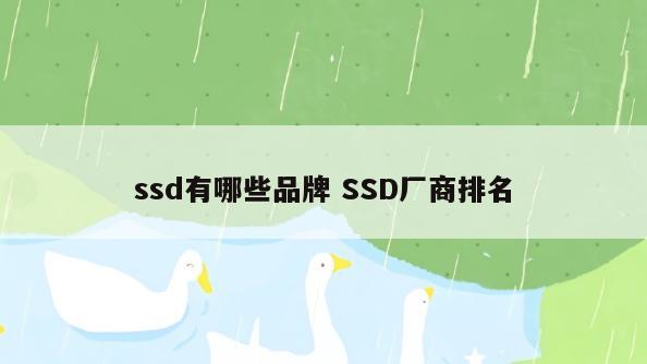 ssd有哪些品牌 SSD厂商排名