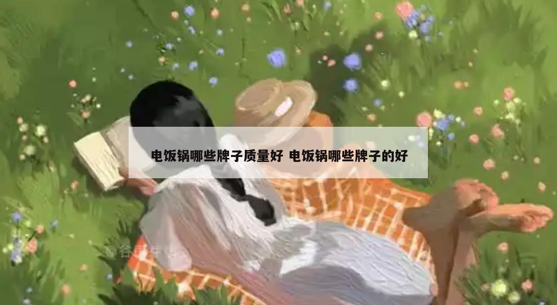 电饭锅哪些牌子质量好 电饭锅哪些牌子的好