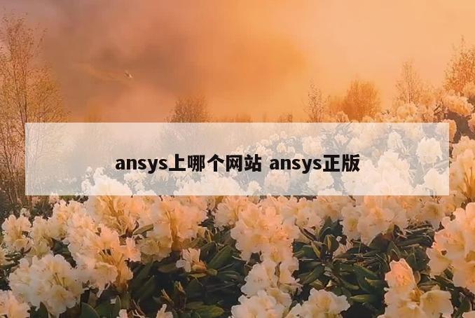ansys上哪个网站 ansys正版