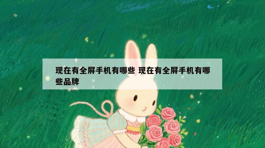 现在有全屏手机有哪些 现在有全屏手机有哪些品牌