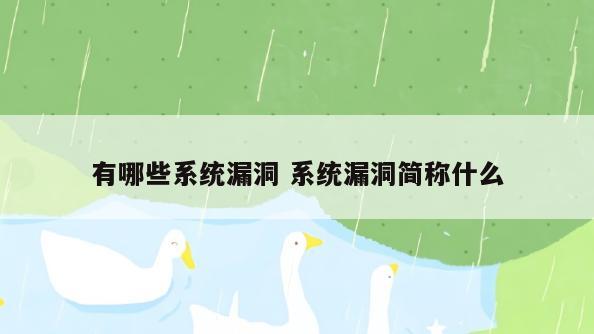 有哪些系统漏洞 系统漏洞简称什么
