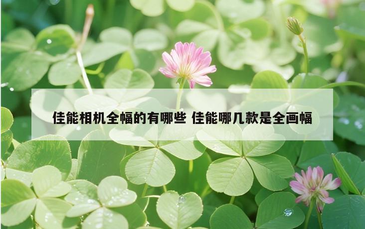佳能相机全幅的有哪些 佳能哪几款是全画幅