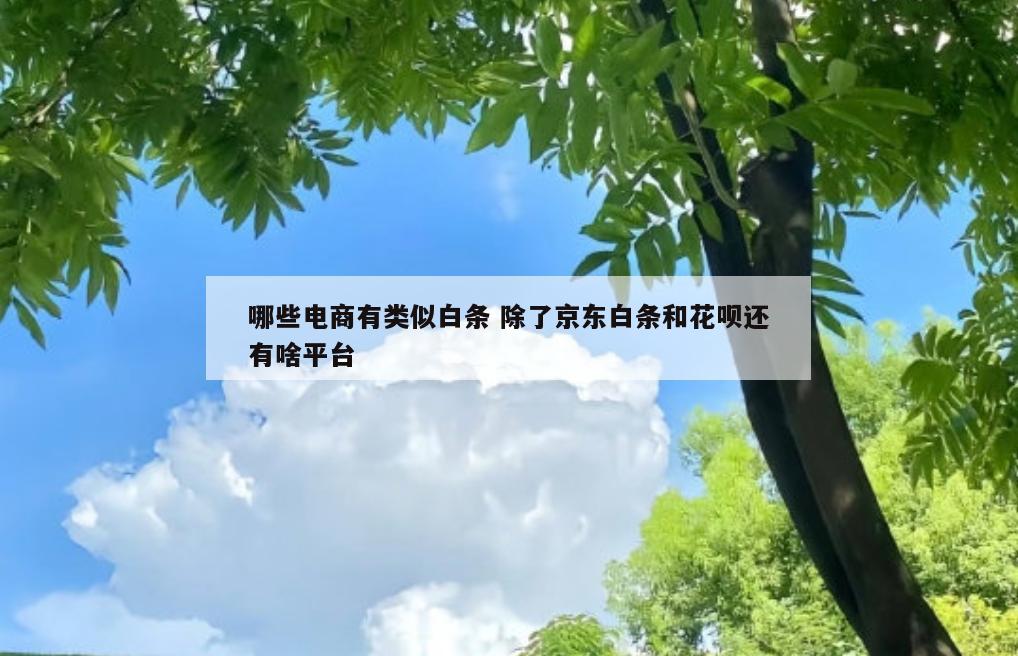 哪些电商有类似白条 除了京东白条和花呗还有啥平台