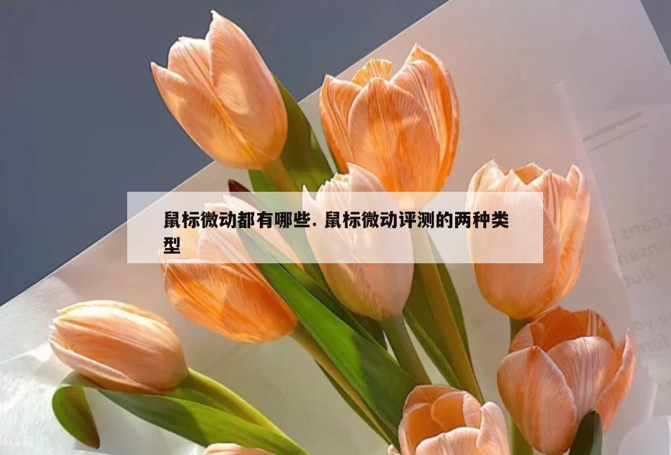 鼠标微动都有哪些. 鼠标微动评测的两种类型