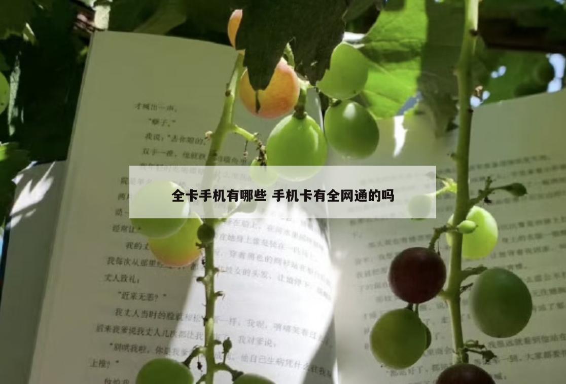 全卡手机有哪些 手机卡有全网通的吗